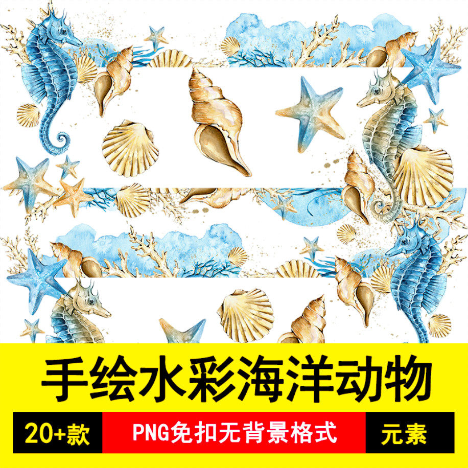 海洋动物珊瑚礁海马海螺海星水草手绘水彩png免抠ps设计素材n11