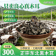 东北椴木黑木耳干货特产级头茬秋木耳无根无沙肉厚真木耳农家特产