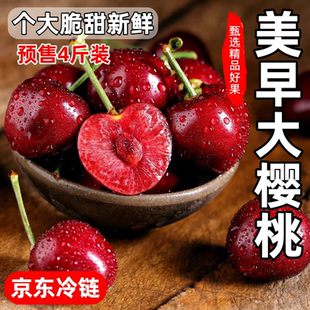 山西美早大樱桃自家果园新鲜樱桃水果车厘子脆甜现摘现发京东冷链