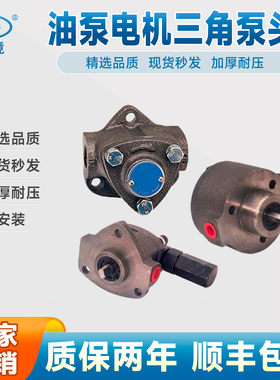 打头机制冷机械CB4-43B0油泵电机润滑泵 摆线泵BMA-12A三角泵玉镜