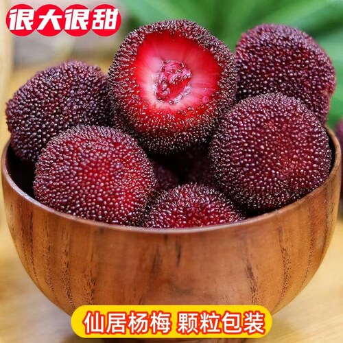 特级仙居东魁大杨梅超甜多汁礼盒