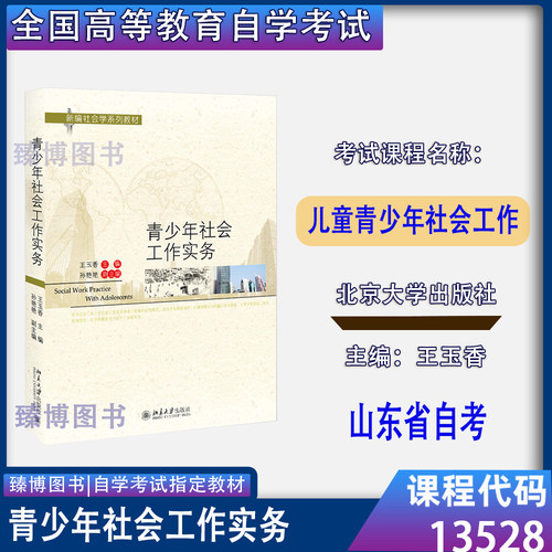 13528儿童青少年社会工作王玉香