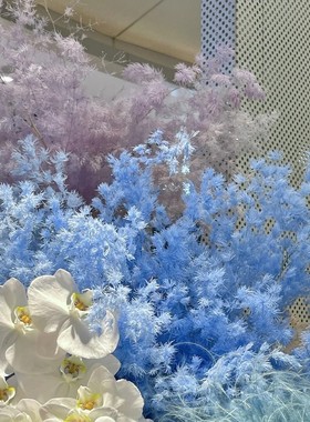 永生花蓬莱松干花创意礼物diy材料包花束配家居软装真花表白花束