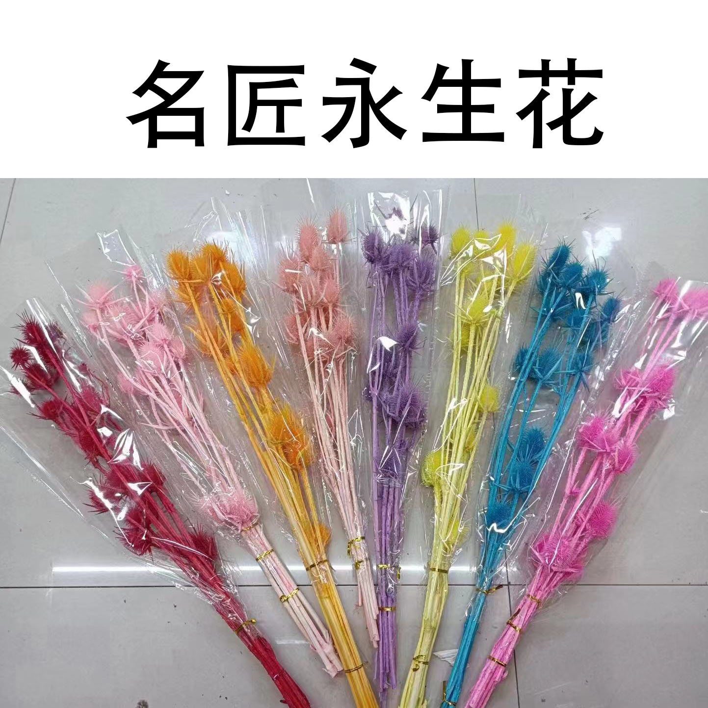 永生花大刺芹真花发财果干花家居装饰插花软装花材包花花束diy