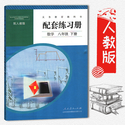 2022年适用 人教版 8八年级下册数学配套练习册 教辅 辅导用书 人民教育出版社