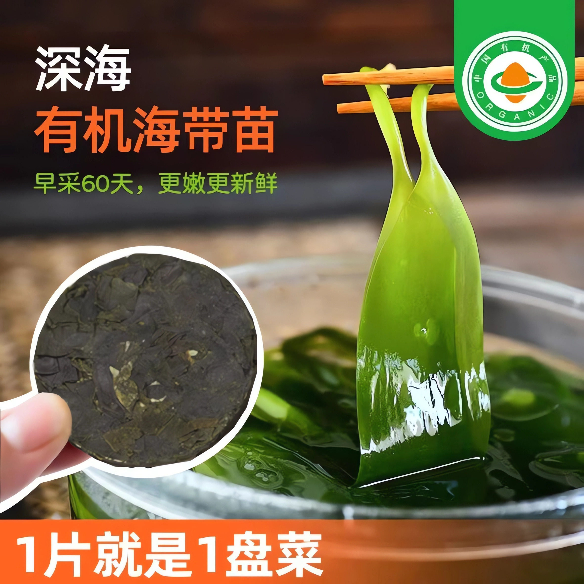 有机海带苗 嫩芽连江干货小海带压缩非盐渍煲汤火锅食材凉拌