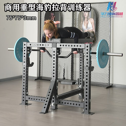海豹划船器械机凳俯身划船器械