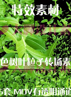pr/ae视频素材绿色树叶飘落散开动态效果遮罩过渡转场动画有通道