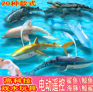 水上遥控鲨鱼鲸鱼沧龙电动喷水仿真可下水会摇摆游泳户外儿童玩具