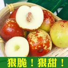 山东正宗沾化冬枣当季新鲜水果脆甜鲜枣大枣青红枣果园直发5斤装