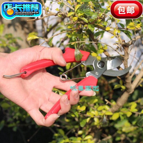 名钻红柄修枝剪阳台修剪枝条