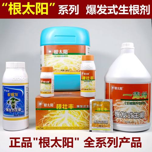 根太阳大树移栽生根剂根壮丰一露绿爆发式生根剂苗木果蔬移植扦插