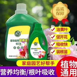 植物营养液通用型花肥家用盆栽发财树富贵竹绿萝水培花卉绿植肥料