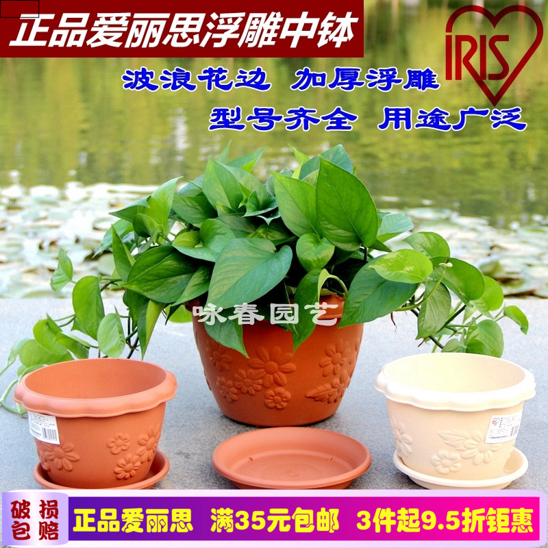 爱丽丝flowl中钵波纹圆型多肉植物花盆爱丽思 树脂塑料浮雕花盆