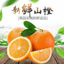 10斤一件发货 重庆山橙印象云阳脐橙子纽荷尔自种新鲜现摘9 包邮