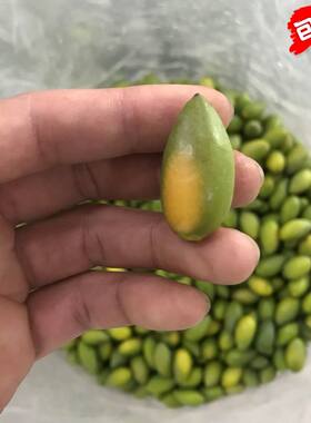 雅精品二号甜种橄榄  潮汕特产新鲜现摘生青果 宝妈水果包邮