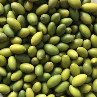 精品灵峰现摘现发青橄榄 产地直发新鲜甜种青果 生果鲜甘榄包邮