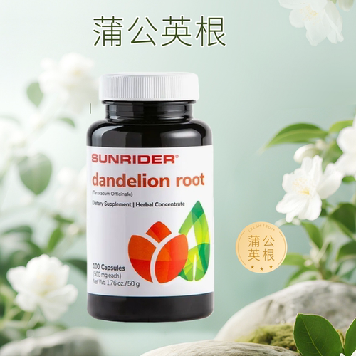 仙妮蕾德 蒲公英根100粒 正品保证