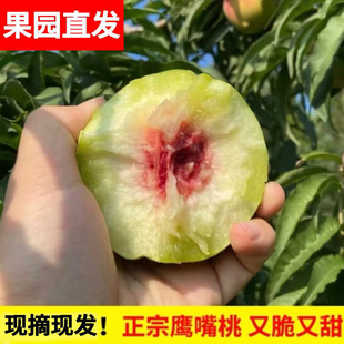正宗赣南鹰嘴桃新鲜桃子10斤上坪水蜜桃甜脆桃大果非广东河源连平