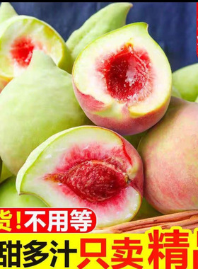 正宗赣南寻乌鹰嘴桃10斤整箱当季脆桃新鲜水果广东应季连平甜桃子