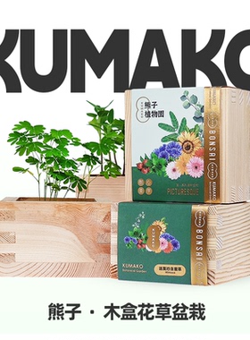 熊子植物园植物种子薄荷盆栽罐头桌面小花农番茄樱花迷你礼物diy