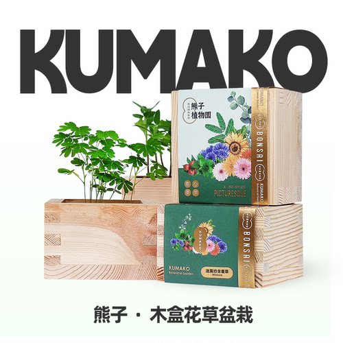 日式木盒桌面薄荷盆栽定制礼物