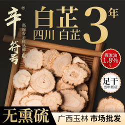 川白芷500遂宁白芷片香料调料大全卤料去腥解腻炖菜八角花椒桂皮