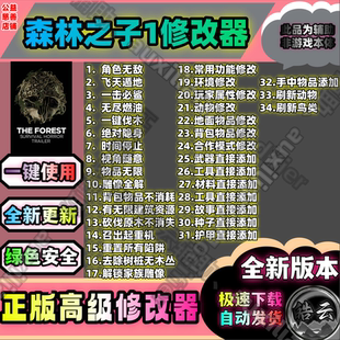 迷失森林1辅助/森林1辅助/Steam/多人/联机/辅助/永久/安全/包更