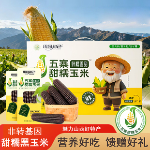 山西忻州特产非转基因五寨甜糯黑黄白花玉米代餐粗粮糯玉米棒礼盒
