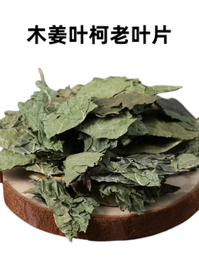 木姜叶柯玉叶石柯多穗石柯优质高山甜茶叶老叶子老叶片味道不甜