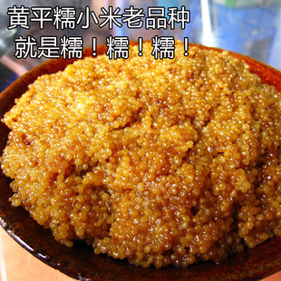 糯小米 贵州特产正宗优质黄平糯小米黏黄小米包粽子小米渣鲊500克