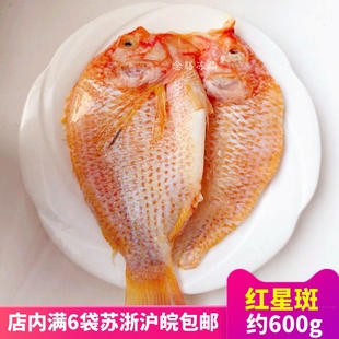 红星斑鱼开背彩虹鲷新鲜速冻腌制清蒸鱼酒店食材特色菜商用年夜饭