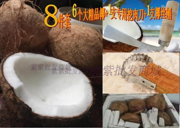新鲜椰子配椰肉刀椰丝刨 水果汁椰肉椰青 老椰皇椰王煲汤 8件套