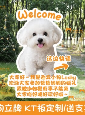 宠物kt板婚礼猫咪狗狗迎宾牌小红书抖音网红同款游戏手举立牌定制