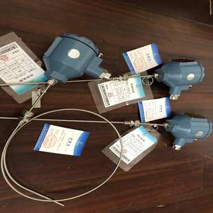 475SA耐高温带屏蔽导线铠装 WZPK 196 WZPK2 热电阻 424