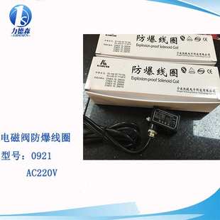 coil valve 24V explosion metal 220V proof solenoid