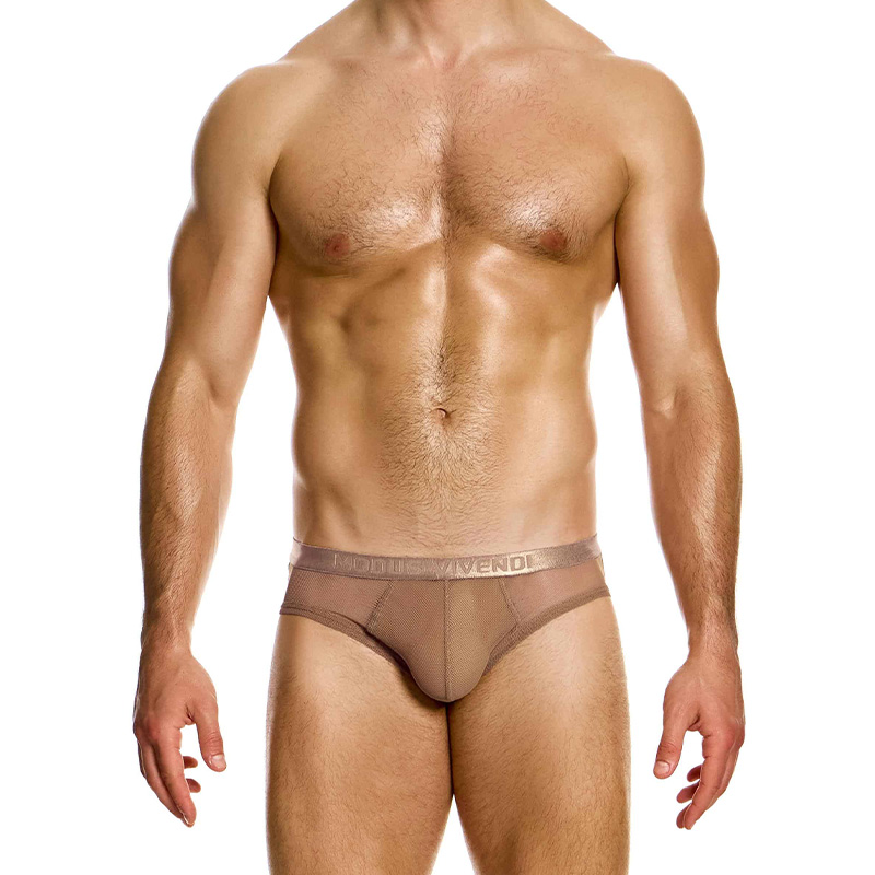 ModusVivendi男士三角内裤网眼