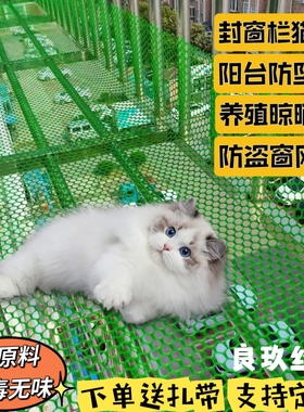 绿色塑料平网阳台防护网防晒封窗防坠掉网格网片养殖晾晒鱼塘隔离