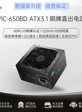 肥猫家 全汉 VIC 650W 750W 白色电竞电源 ATX3.1铜牌认证 压纹线