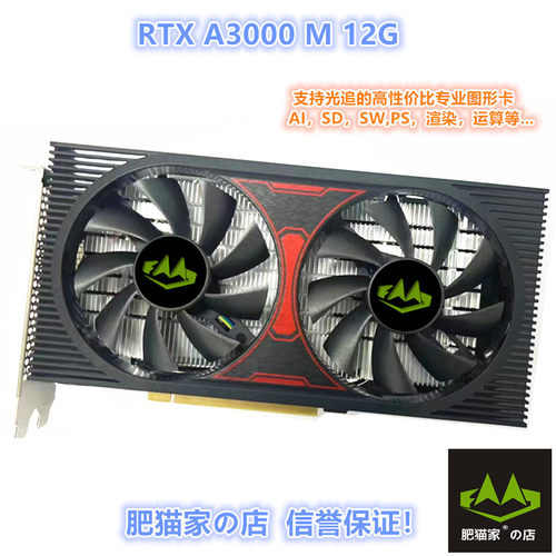 RTXA300012G魔改专业图形卡