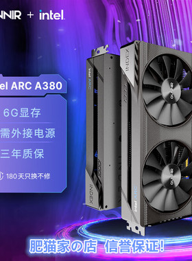肥猫家の店 蓝戟 Intel Arc A380 Photon 6G OC 电竞游戏独立显卡