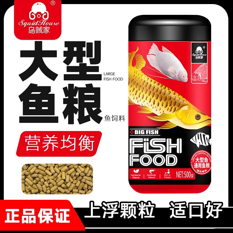 乌贼家招财鱼战船地图鱼观赏鱼粮