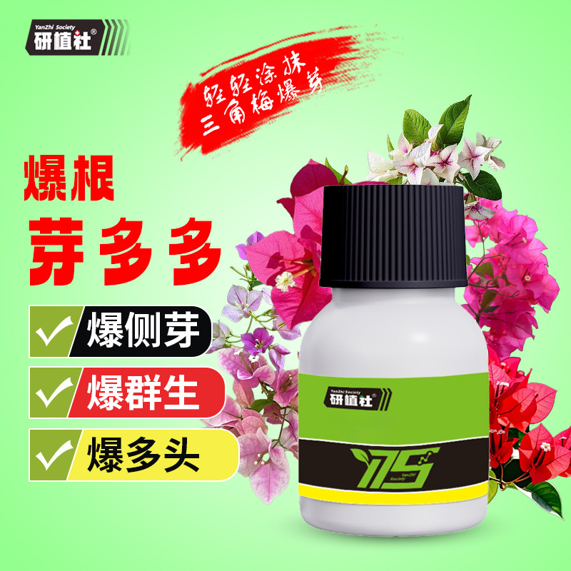 研植社芽多多爆芽素花卉优芽素三角梅促芽生根培养多头调节剂家用图片