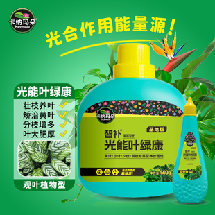 卡纳玛朵光能叶绿康营养液植物通用型叶绿素发财树幸福树园艺家用