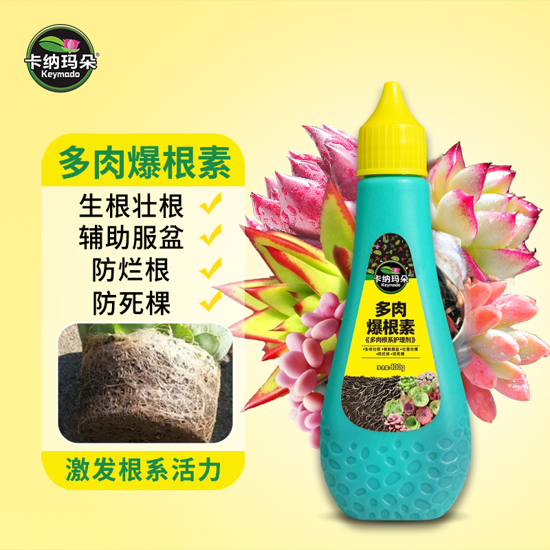 卡纳玛朵多肉爆根素生根壮根