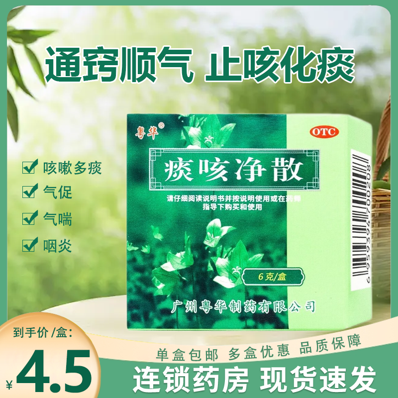 广健粤华痰咳净散6g通窍顺气止咳化...