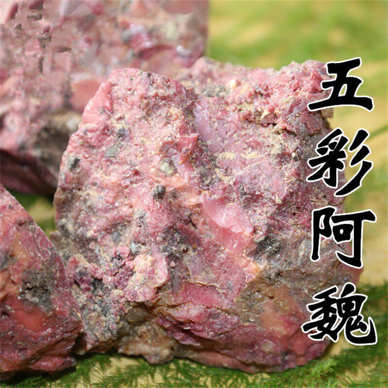 材新疆正宗 臭阿魏 五彩阿魏2