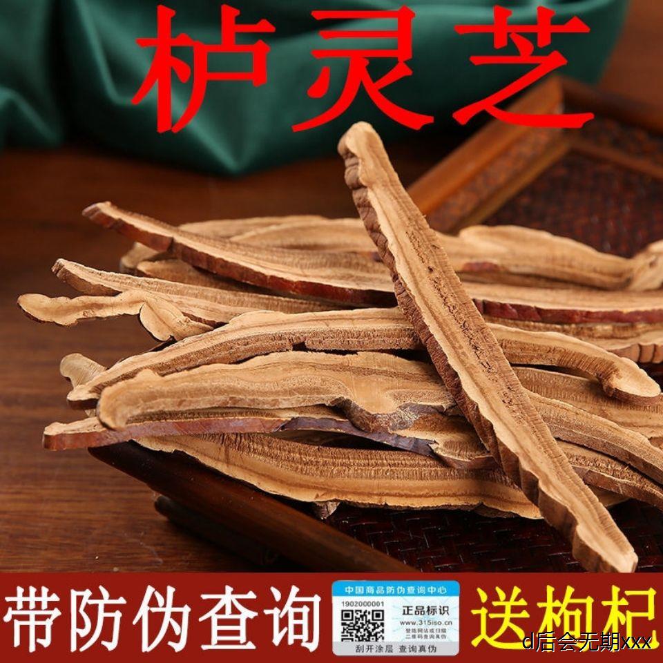 栌灵芝西藏栌灵芝【精选大片】带防伪认证下单送枣片.枸杞.随T77