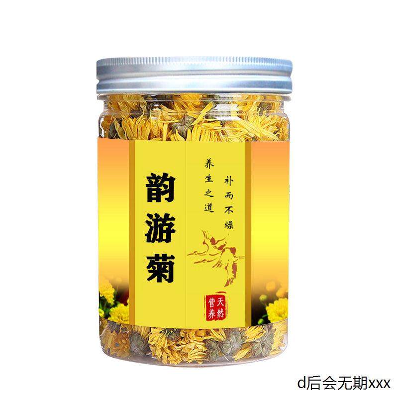 韵游菊河南雁门和寿怀菊冰菊花茶