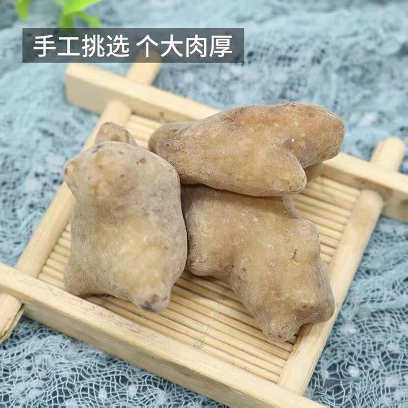 五倍子材新货五贝子肚倍百虫仓百药煎五倍子粉搭五倍子蛇床子真货